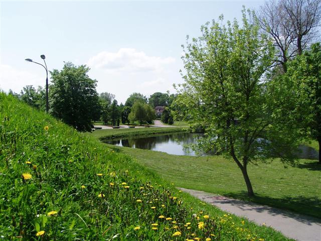 zdjęcie: Park miejski – widok z Góry Zamkowej (fot. B. Komarzewski)