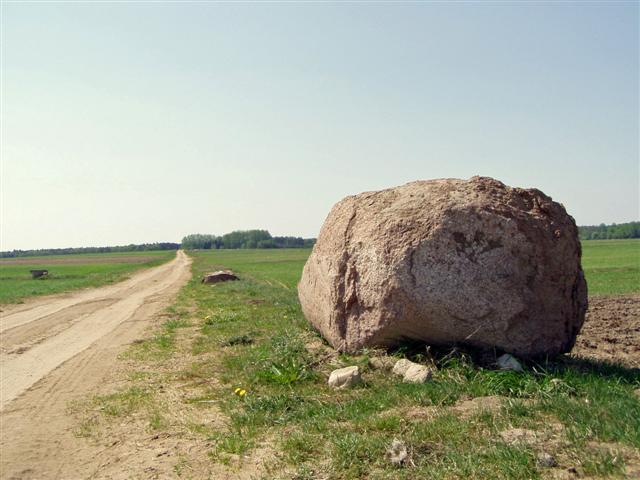 zdjęcie: Głaz narzutowy, okolice Oleksina (fot. B. Komarzewski)