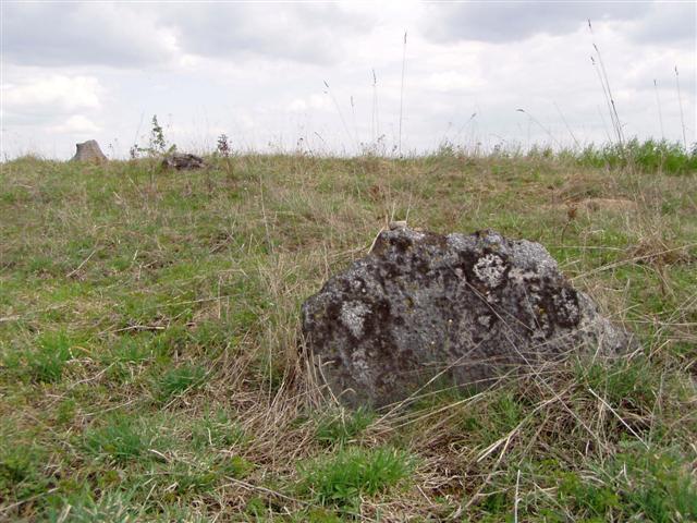 zdjęcie: Stary kirkut w Orli (fot. B. Komarzewski)