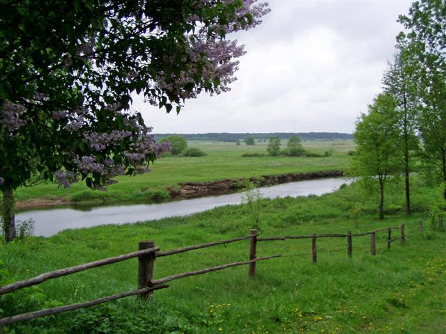 zdjęcie: Rzeka Narew, Samułki (fot. B. Komarzewski)